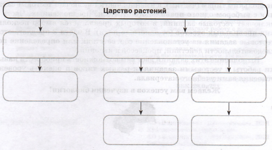 Задание рисунок 1