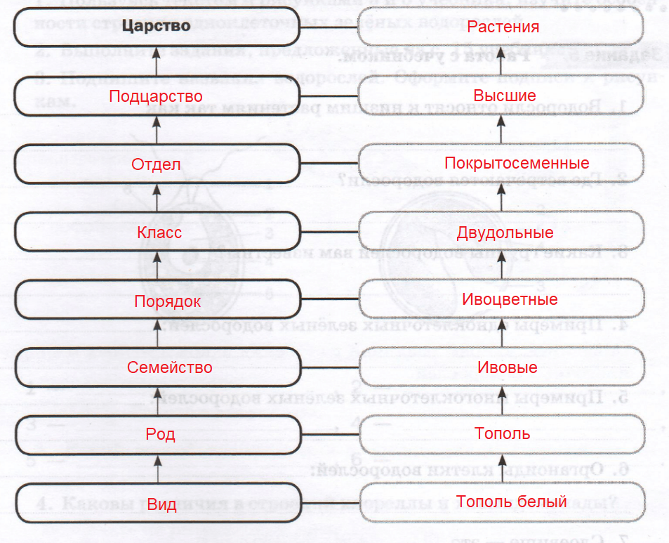 Решение рисунок 1