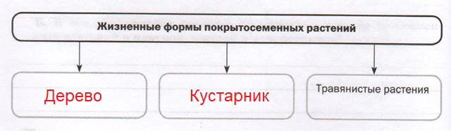 Решение рисунок 1