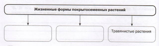 Задание рисунок 1