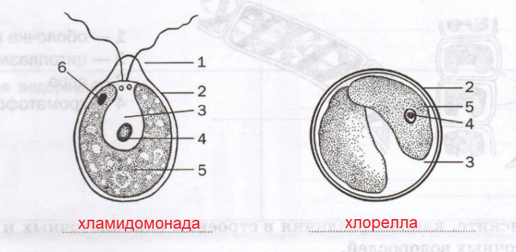 Решение рисунок 3