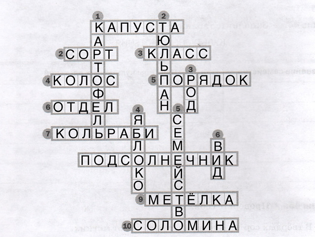Решение рисунок 1