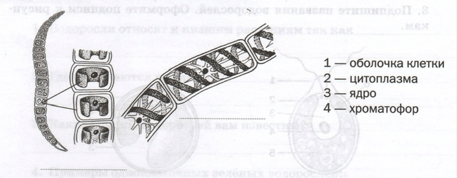 Задание рисунок 1