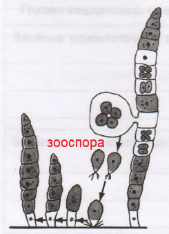 Решение рисунок 3