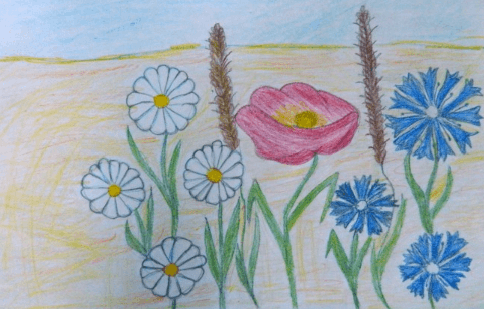 Рисунок к стихотворению на лугу. Детские рисунки цветы. Рисование полевые цветы. Рисование с детьми полевые цветы. Детский рисунок цветы.