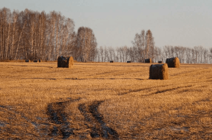 Решение рисунок 1