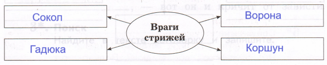 Решение рисунок 1