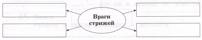 Задание рисунок 1