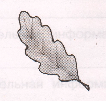 Задание рисунок 3