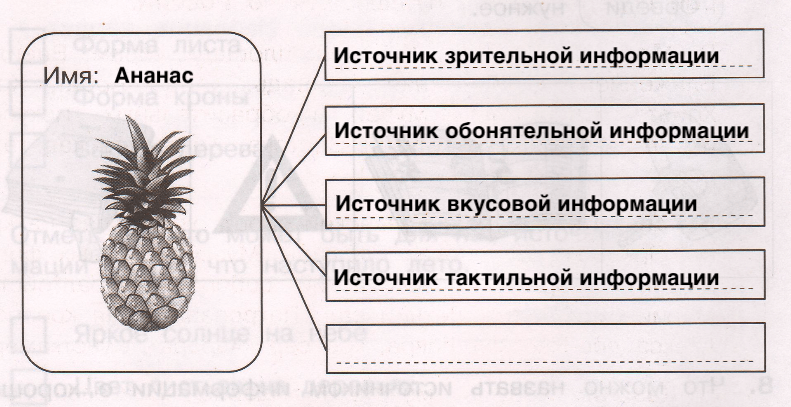 Решение рисунок 1