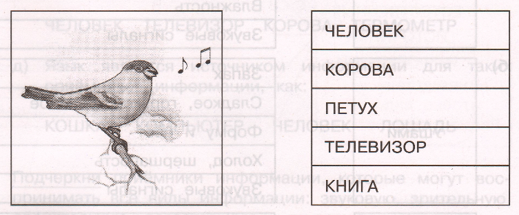 Задание рисунок 1