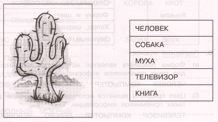 Задание рисунок 2