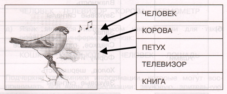Решение рисунок 1