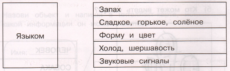 Задание рисунок 3