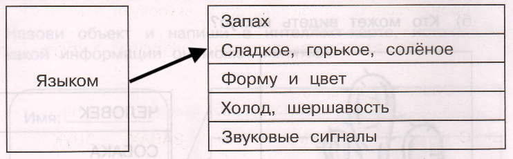 Решение рисунок 1