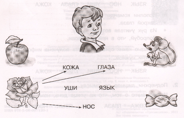 Задание рисунок 1