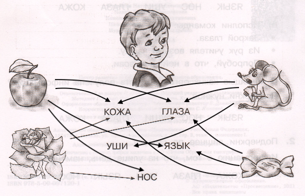Решение рисунок 1