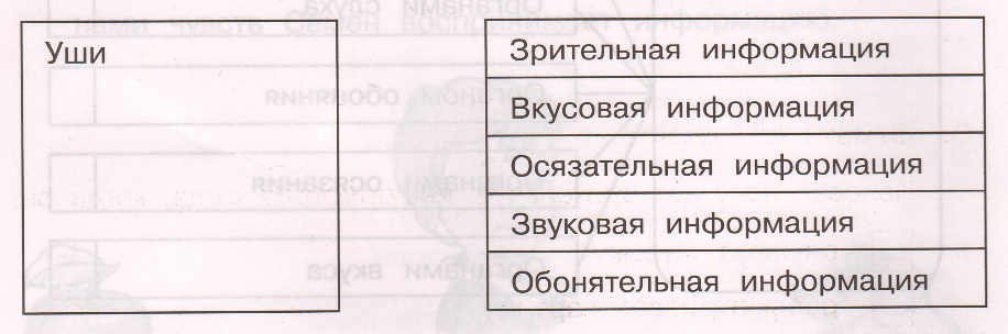 Задание рисунок 2