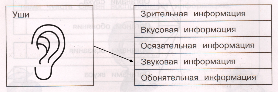 Решение рисунок 2