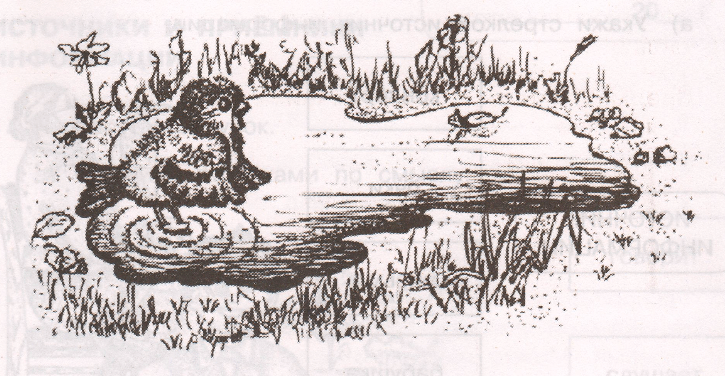Задание рисунок 1