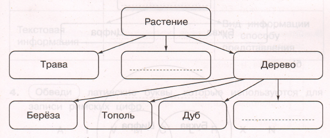 Задание рисунок 2