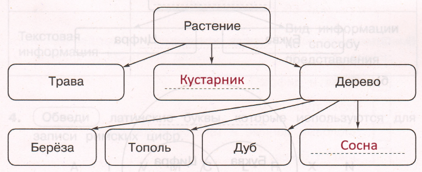 Решение рисунок 2