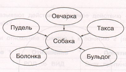 Задание рисунок 1