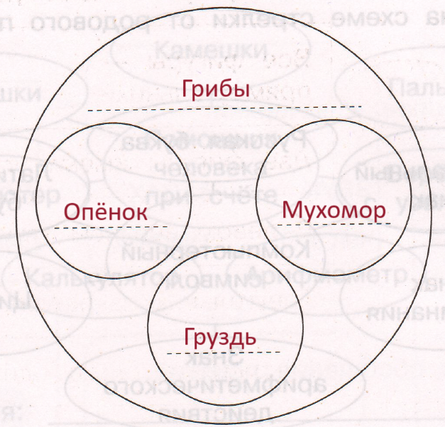 Решение рисунок 1