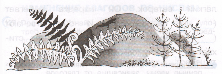 Задание рисунок 1