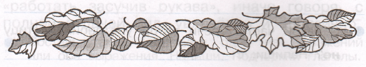 Задание рисунок 1