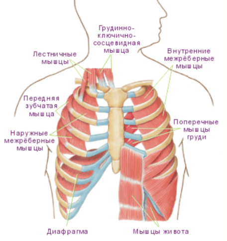 Решение рисунок 1