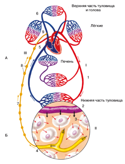 Решение рисунок 1