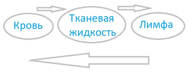 Решение рисунок 1