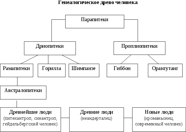 Решение рисунок 1