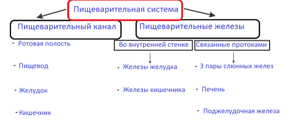 Решение рисунок 1