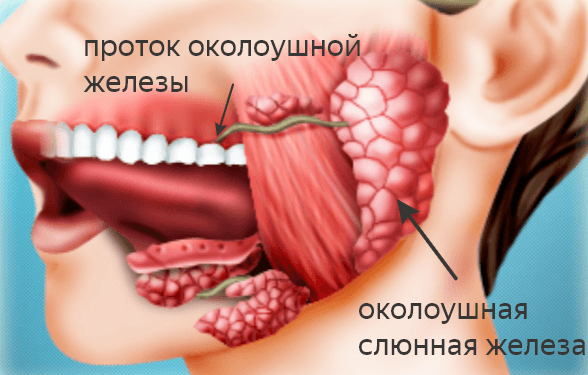 Решение рисунок 1