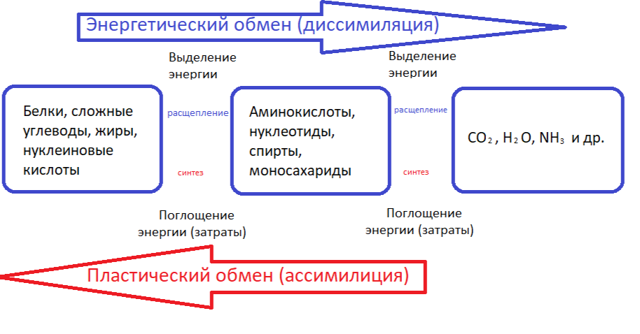 Решение рисунок 1