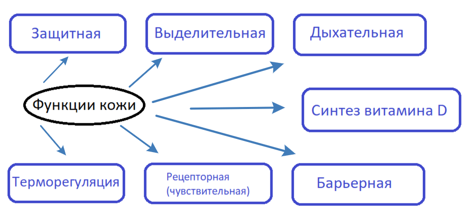 Решение рисунок 1