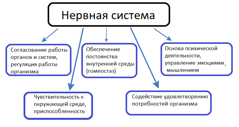 Решение рисунок 1