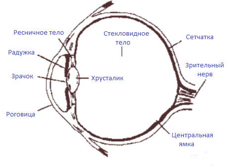 Решение рисунок 1