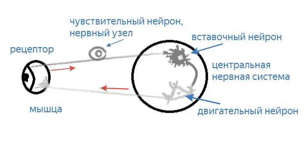 Решение рисунок 1