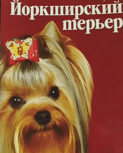 Решение рисунок 3