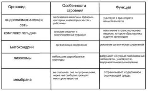 Решение рисунок 1
