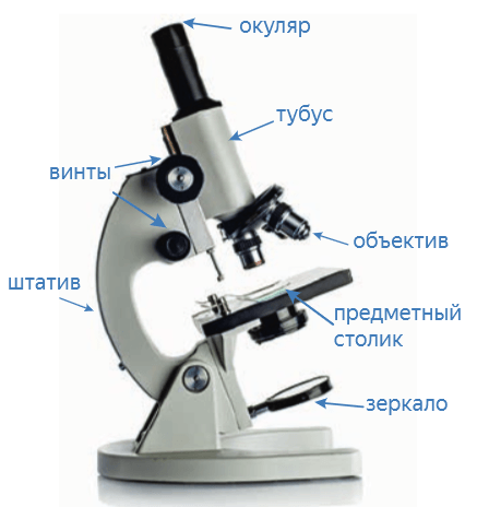 Решение рисунок 1