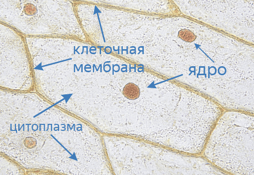 Решение рисунок 3