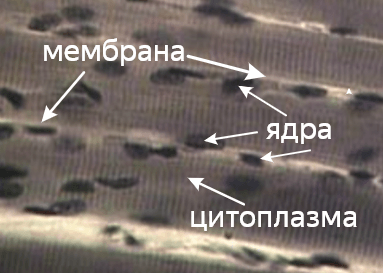 Решение рисунок 4