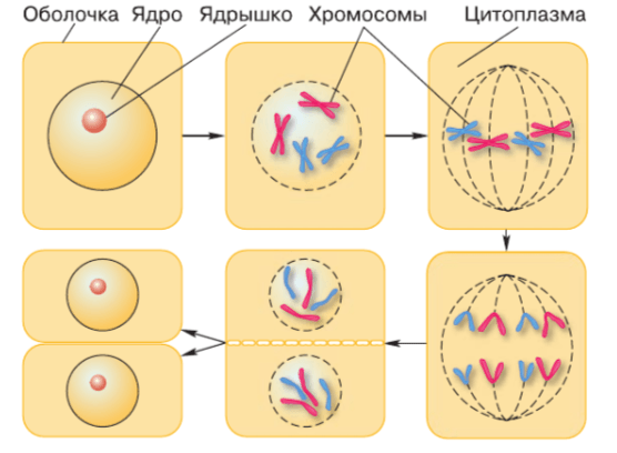 Задание рисунок 1