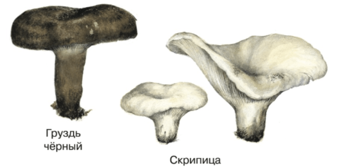 Решение рисунок 5