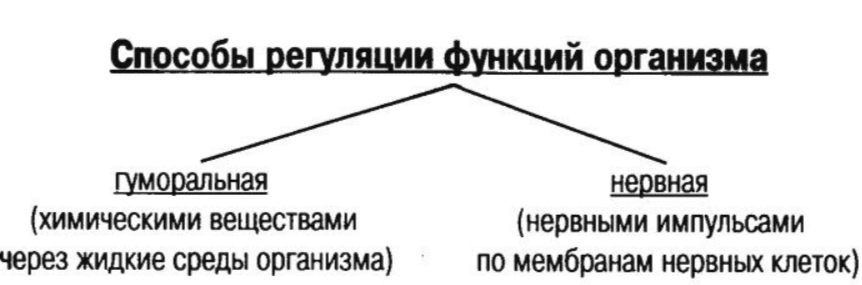 Решение рисунок 1