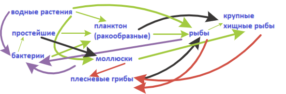 Решение рисунок 1